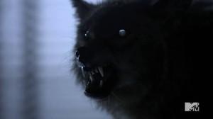teenwolf2