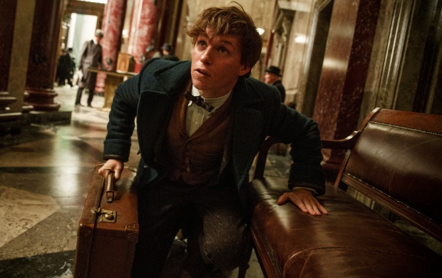 fantastic Beasts and where to find them