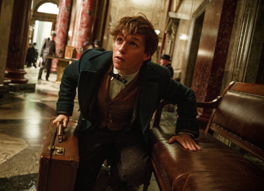Newt Scamander Fantastic Beasts and Where to FInd Them