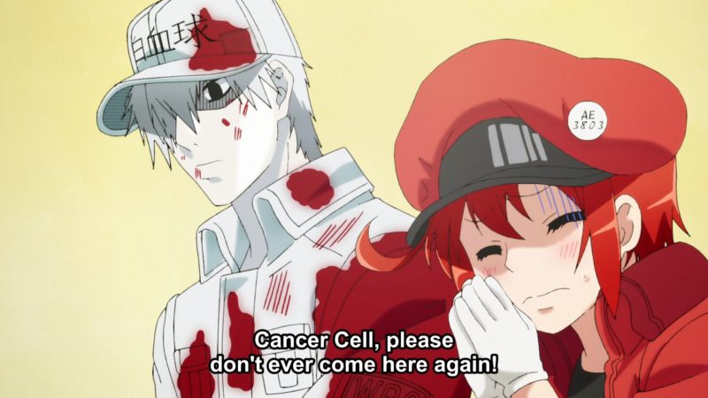 Cells at Work