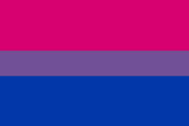 Bi Flag Bisexual Characters
