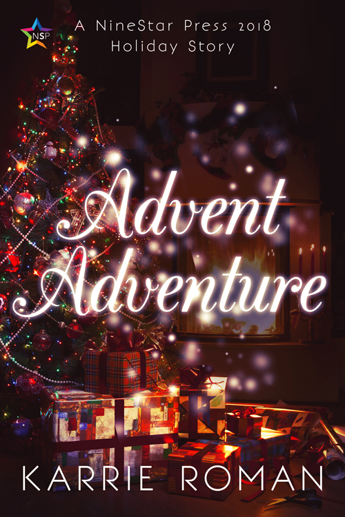 Advent Adventure NineStar Press