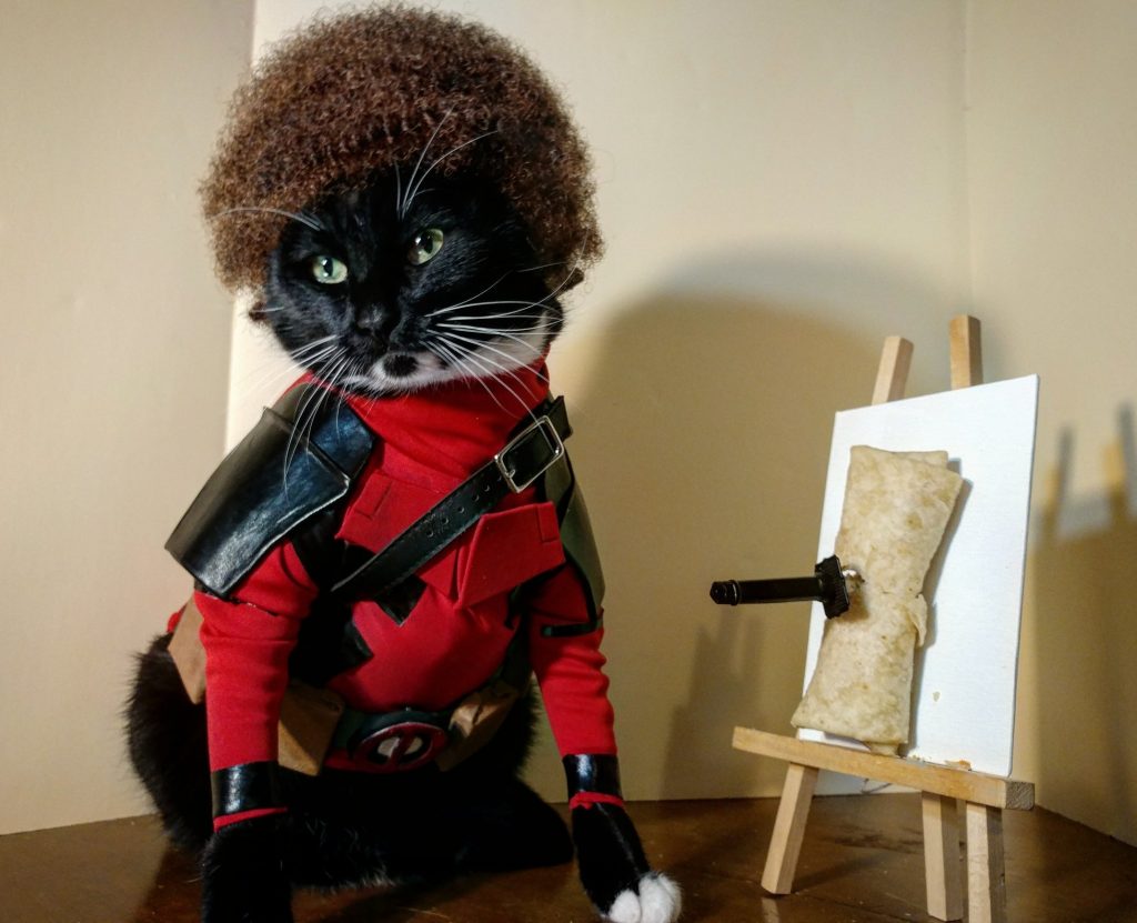 cat cosplay twitter