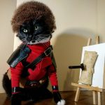 cat cosplay twitter