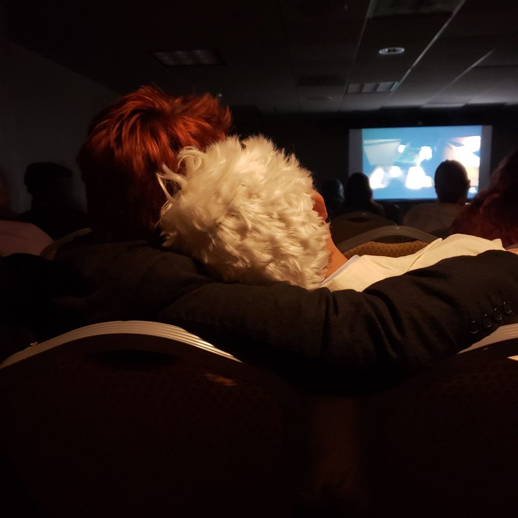 Good Omens Panel Viewing