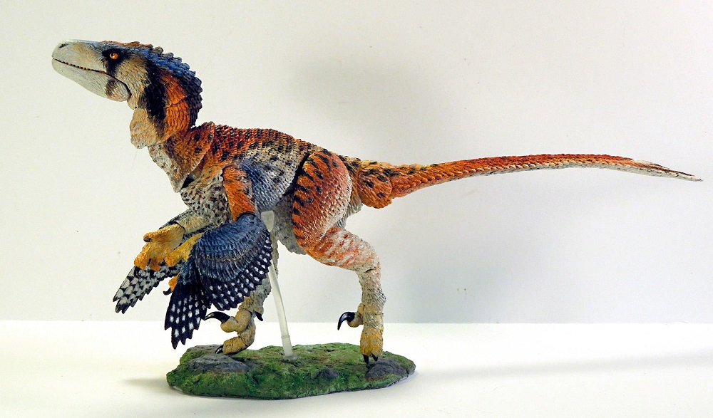  Dromaeosaurus albertensis