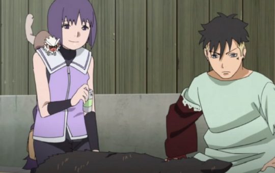 stray dog boruto anime episode 191 review