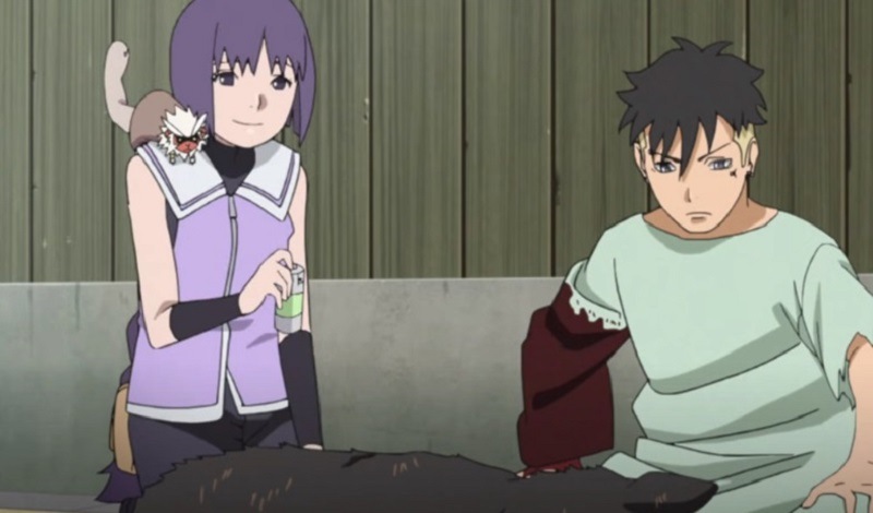 Stray Dog Boruto Naruto Next Generations Anime Episode 191 Review