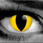 Safe Cosplay Contacts: 7 Rules to Save Your Eyesight!