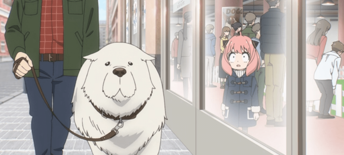 SPY x FAMILY 1×13 Review “Project Apple” The Geekiary