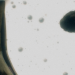 My Hero Academia: Vigilantes 2×08 Review: “A Sky with No Rain Left”