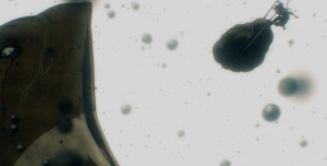 MHA Vigilantes anime season 2 episode 8 review A Sky with No Rain Left