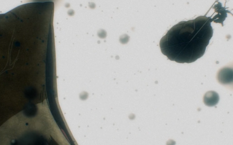 MHA Vigilantes anime season 2 episode 8 review A Sky with No Rain Left